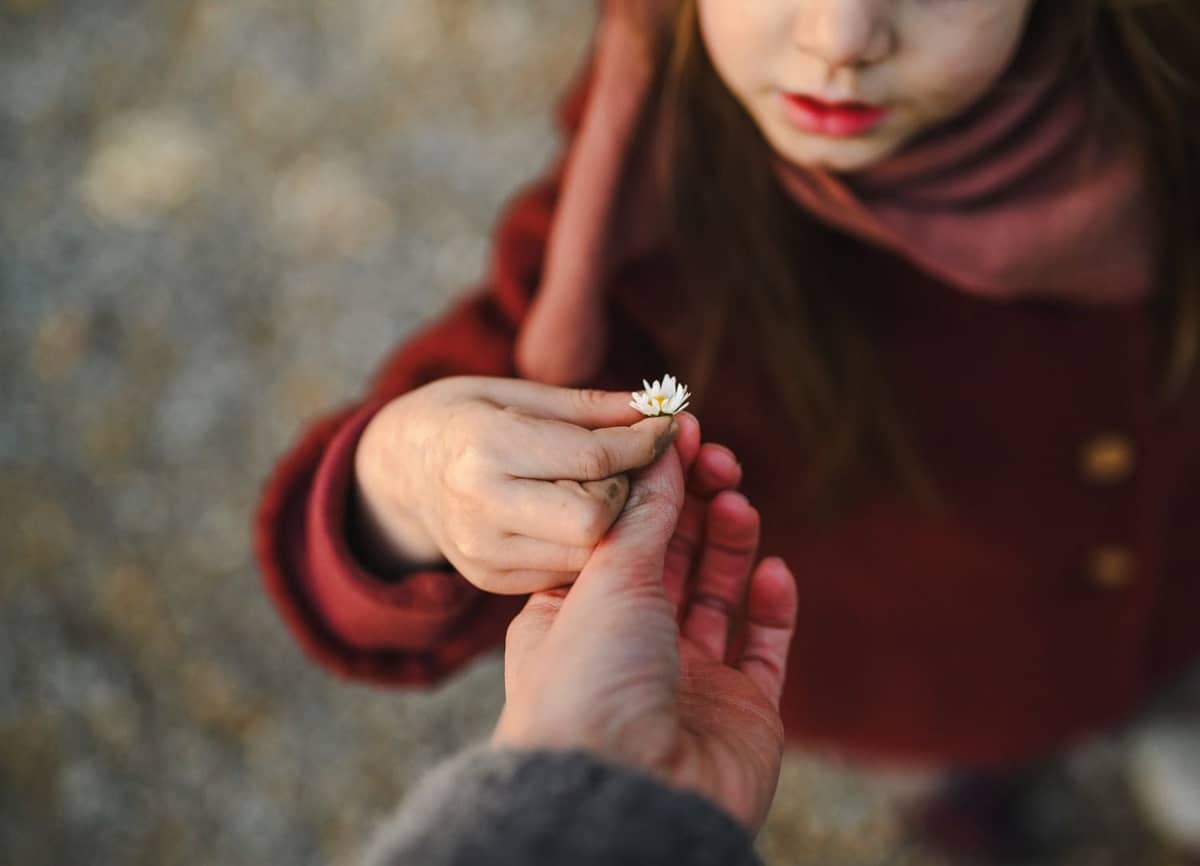 Kind im roten Mantel reicht einer erwachsenen Hand ein Gänseblümchen